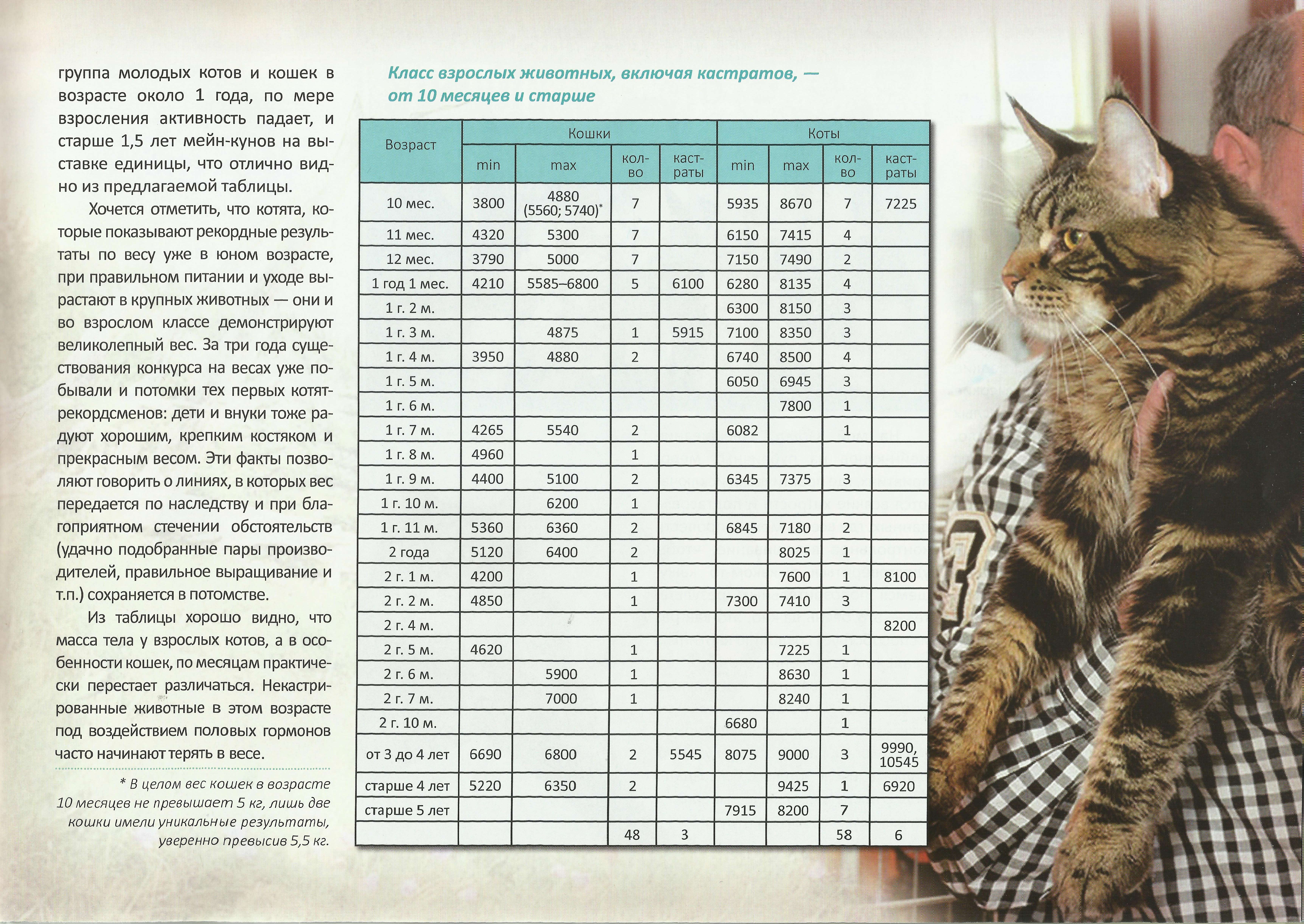 Набор веса для кошек. Мейн кун 4 месяца вес таблица. Таблица веса Мейн куна по месяцам нормы. Котёнок Мейн кун 2 месяца вес и рост. Вес Мейн куна в 2 месяца таблица.